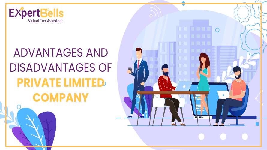 Advantages and Disadvantages of Private Limited Company